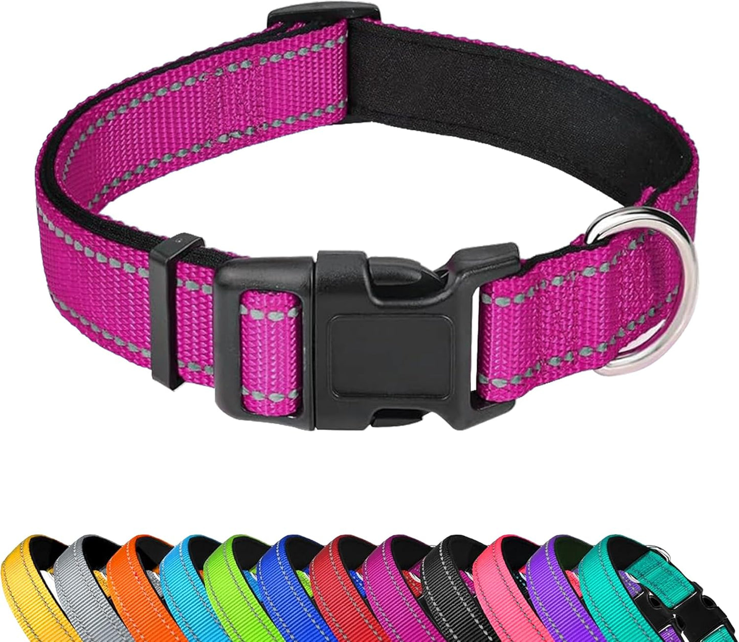 Dog Collar