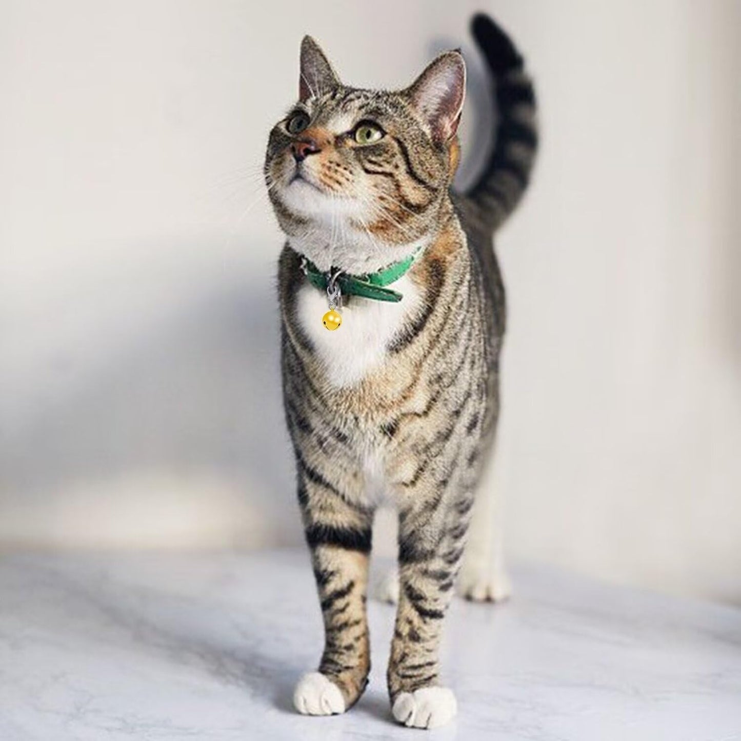 Dogs /Cats Collar Bells