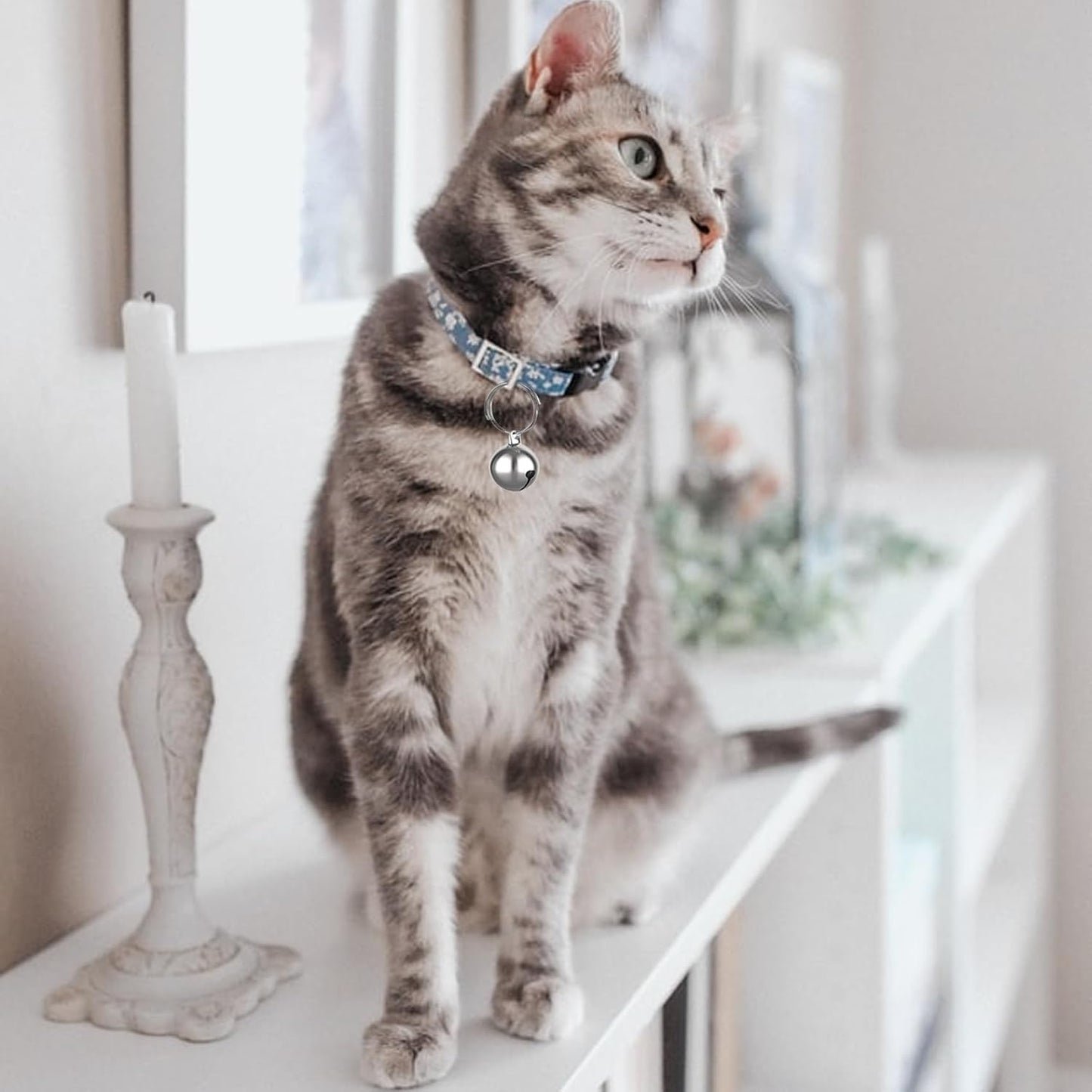 Dog Cat Colla Charm Bells