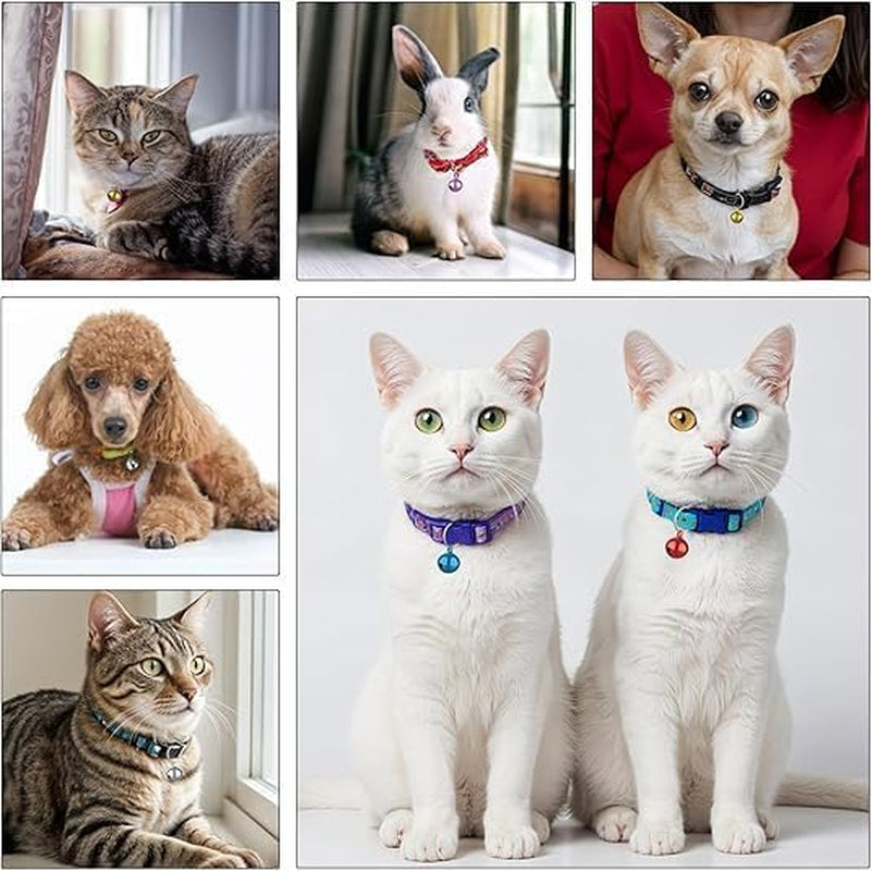 Pet Cat Puppy Dog Bells for Collar
