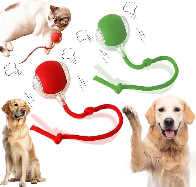 Smart Dog Cat Toy Ball