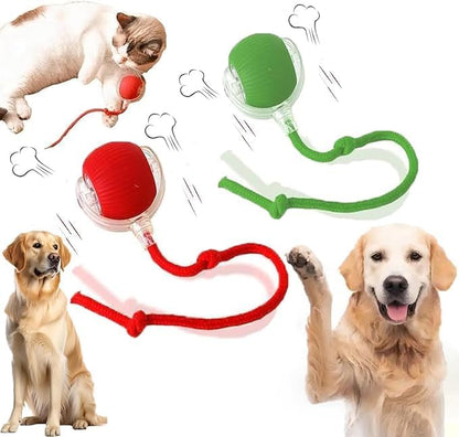 Smart Dog Cat Toy Ball