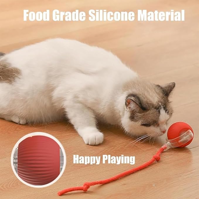Smart Dog Cat Toy Ball