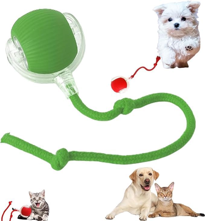 Smart Dog Cat Toy Ball