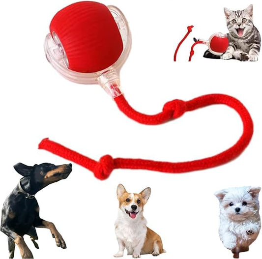 Smart Dog Cat Toy Ball