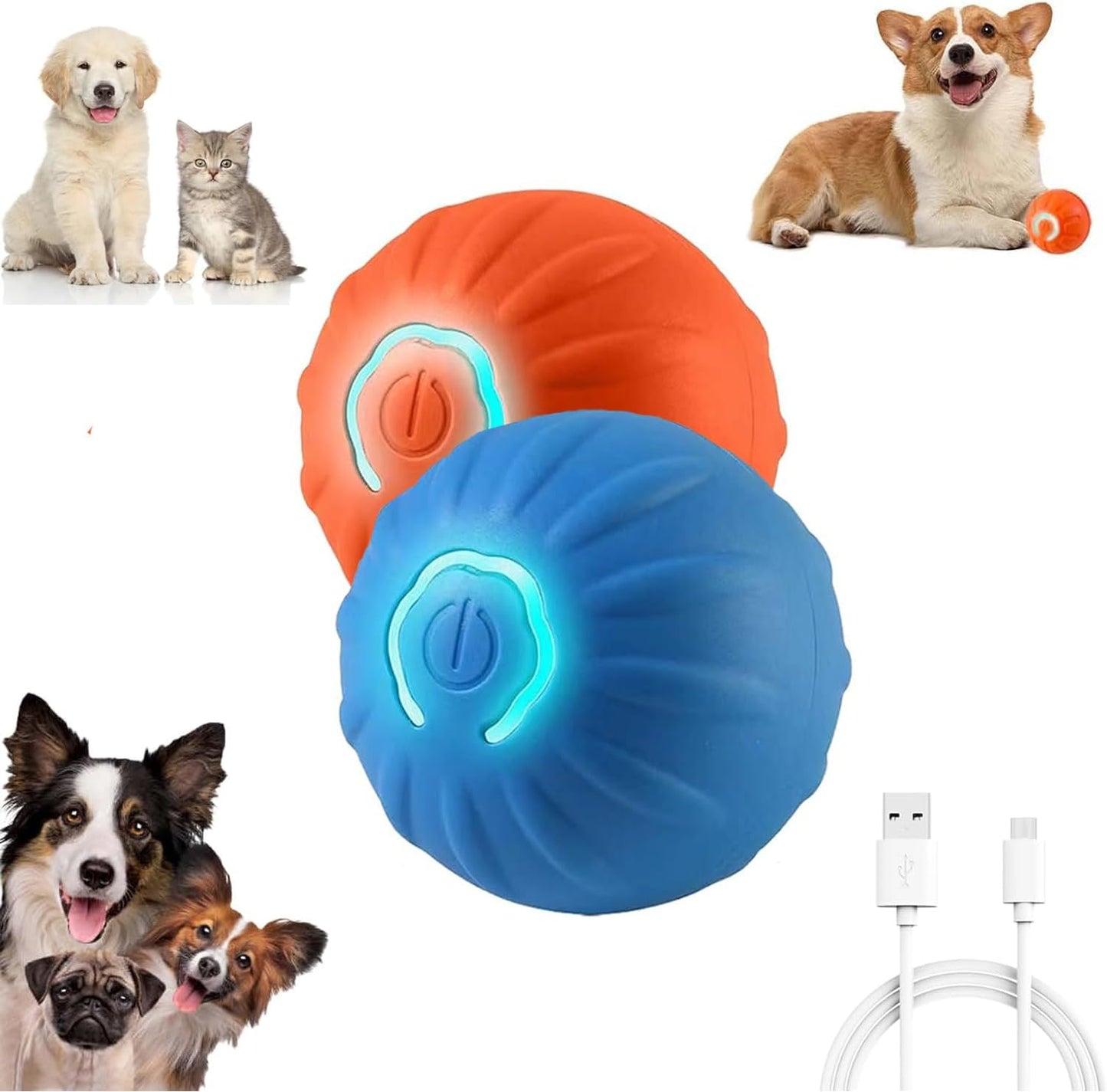 Shaking Dog Bal