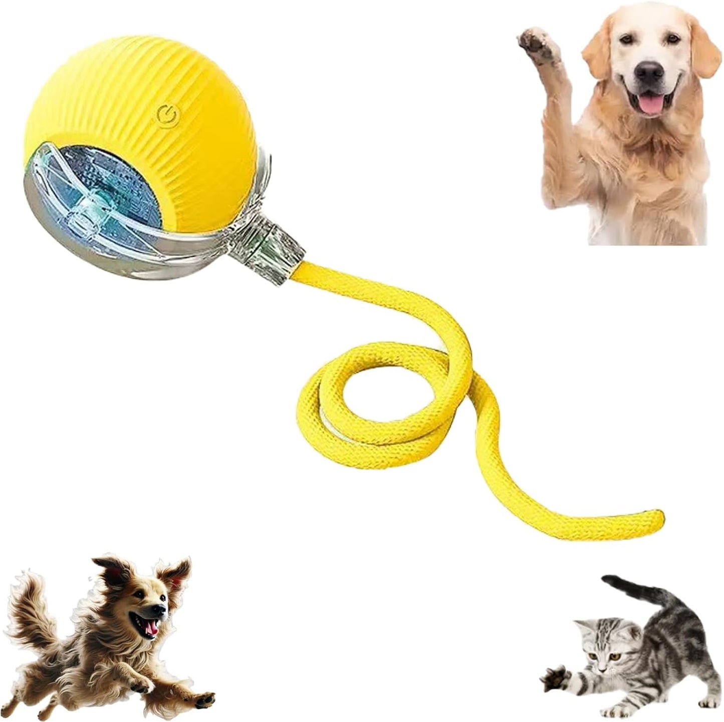 Smart Dog Cat Toy Ball