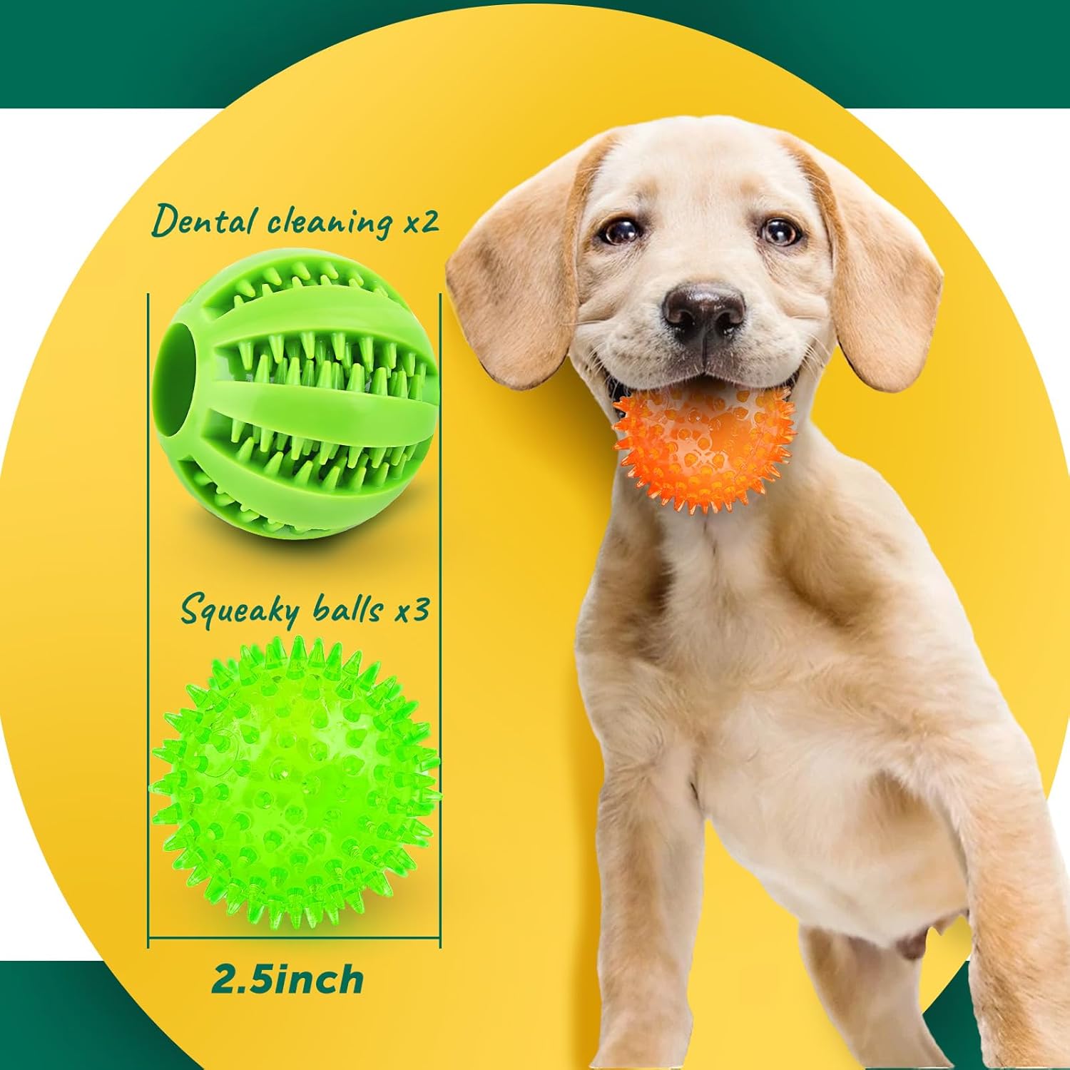 Squeaky Ball and Treat Toys