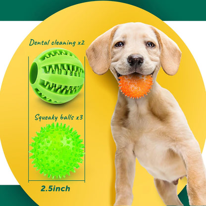 Squeaky Ball and Treat Toys