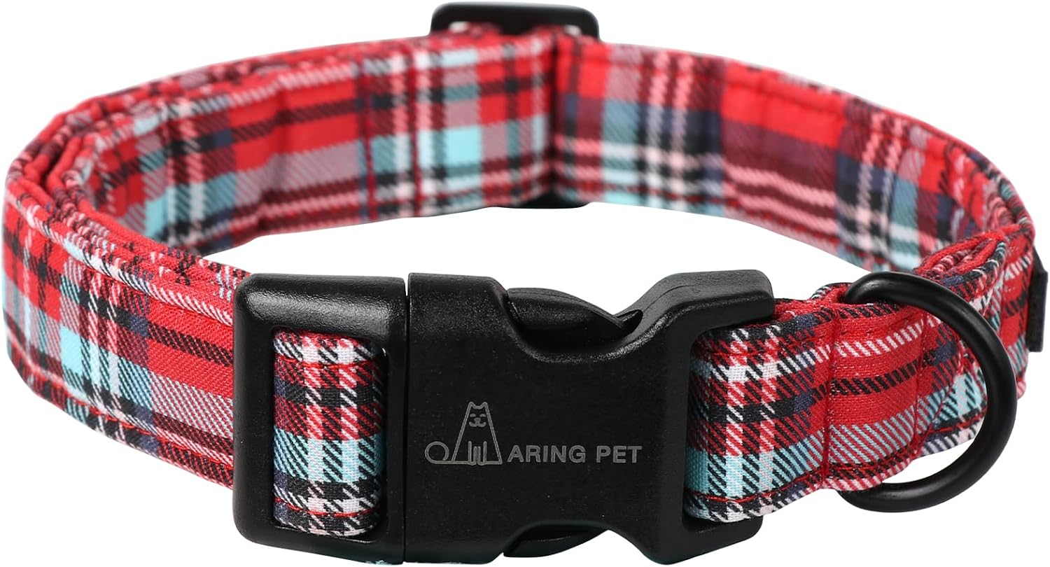Dog Collar