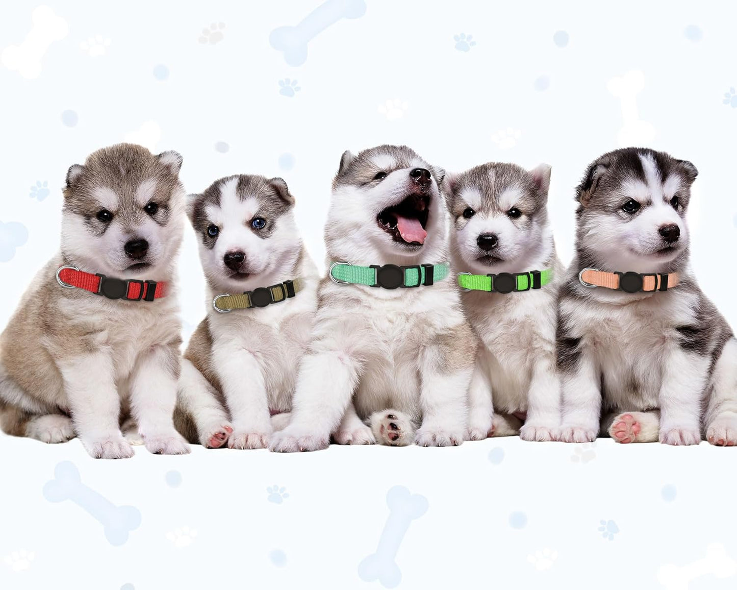 Litter Collars 