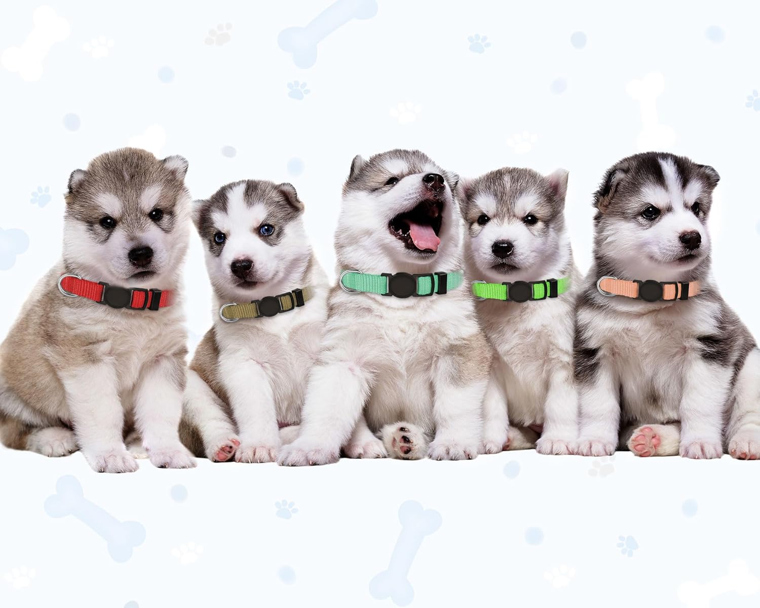 Litter Collars 