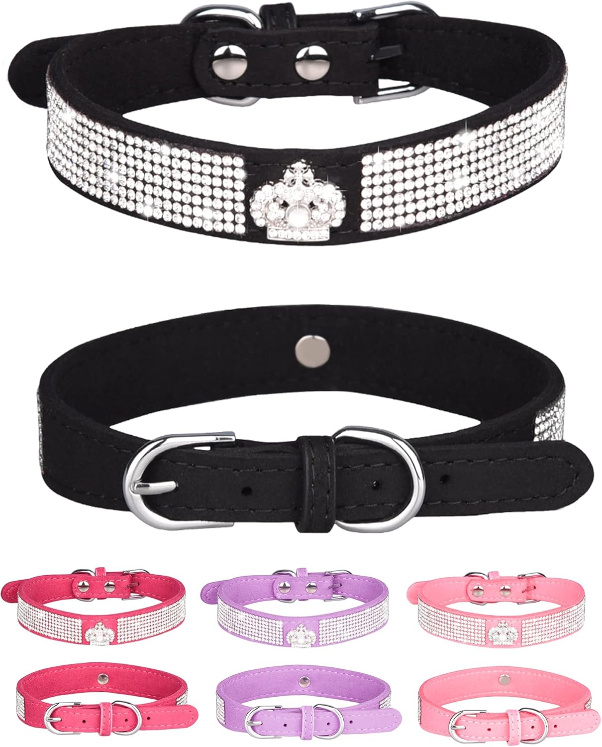 Young Dog Collar