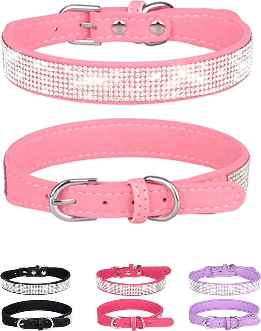 Young Dog Collar