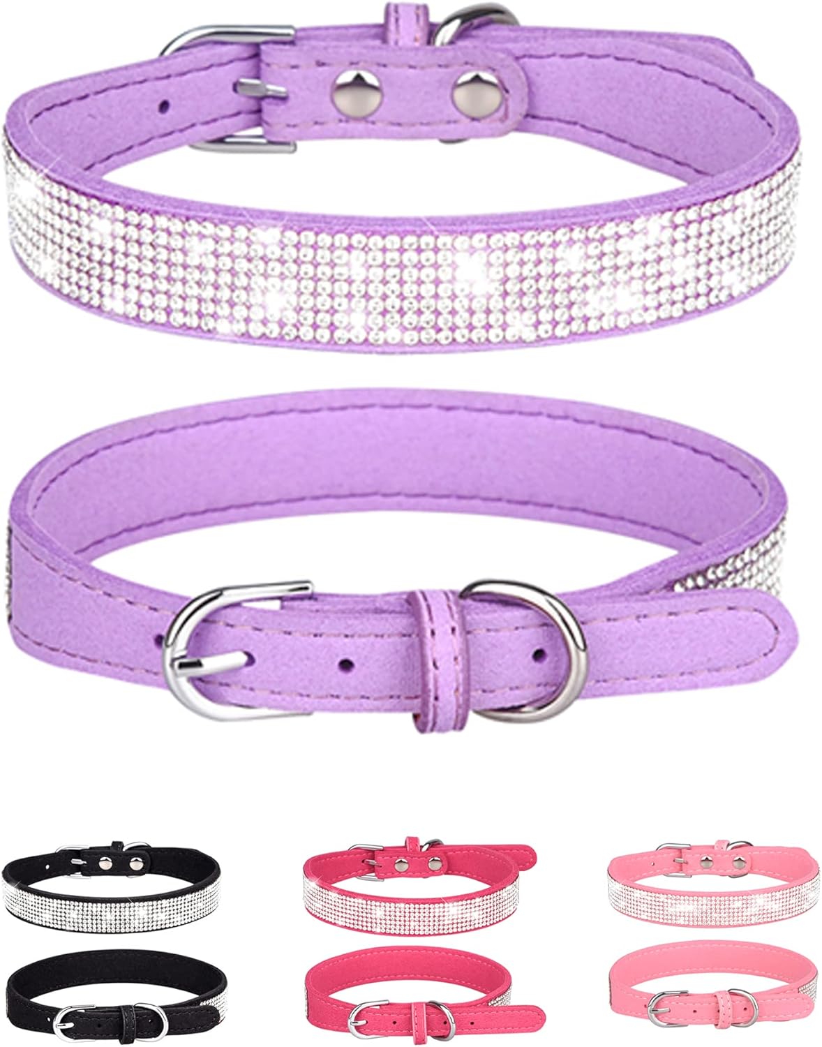 Young Dog Collar