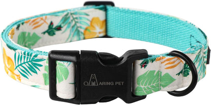 Dog Collar
