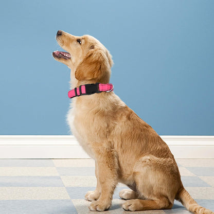 Dog Collar 