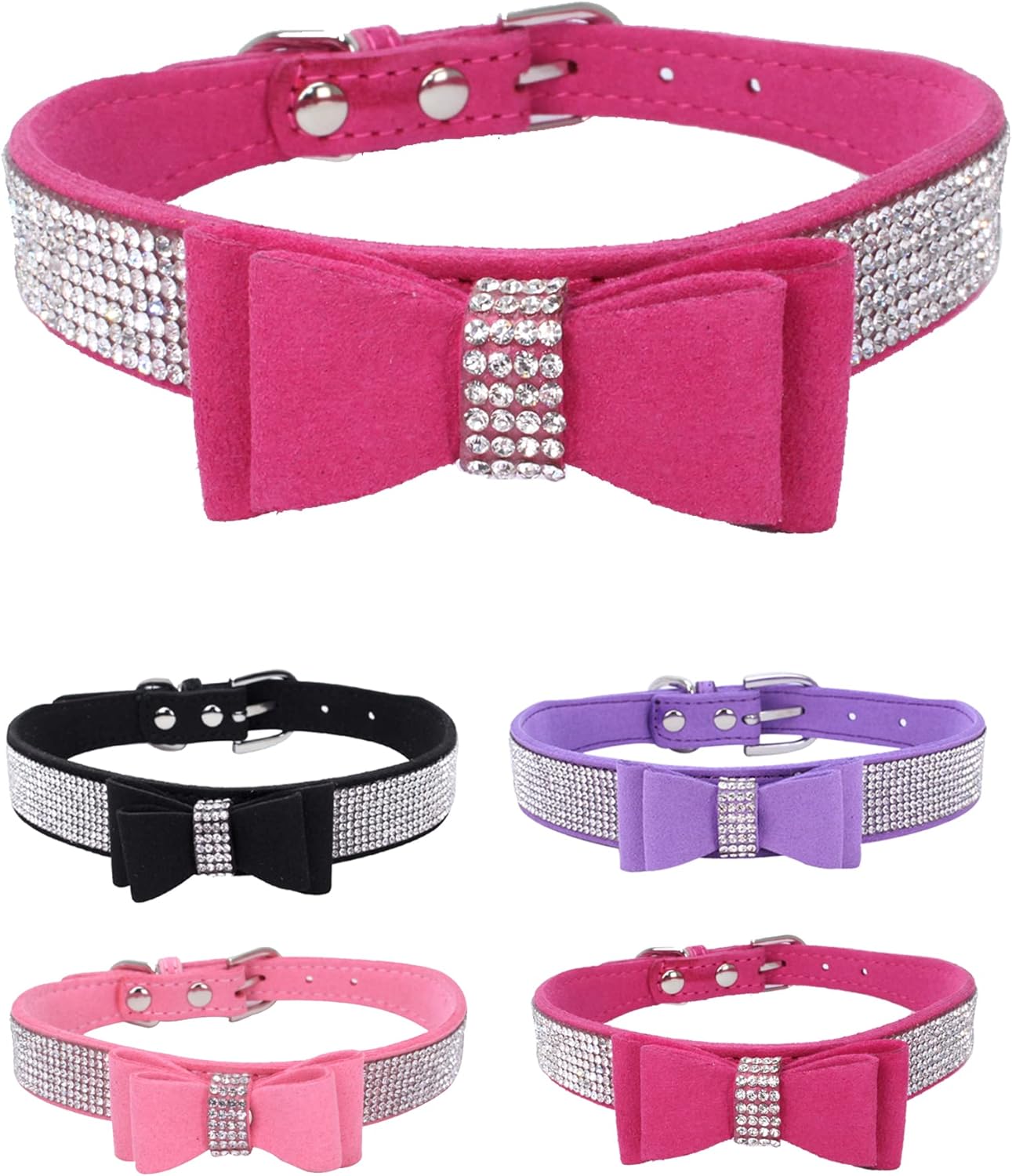 Young Dog Collar