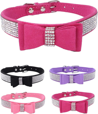 Young Dog Collar