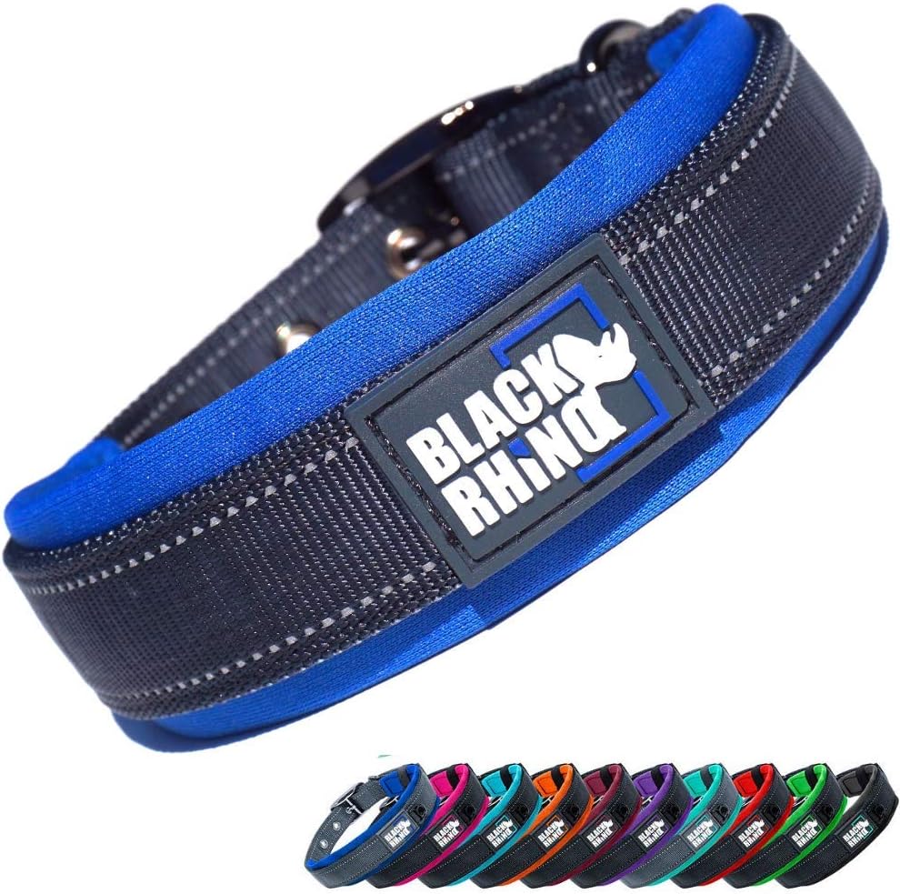 Medium Dogs  Collars 