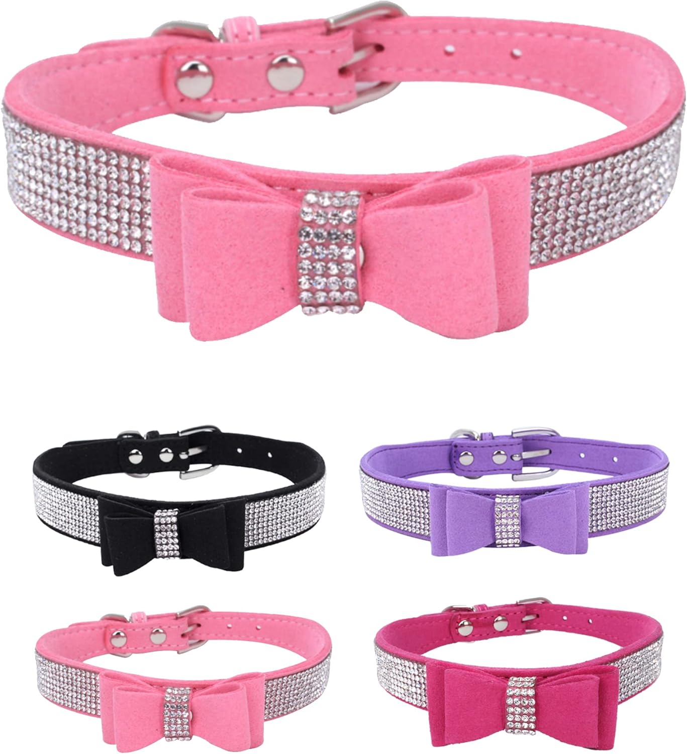 Young Dog Collar
