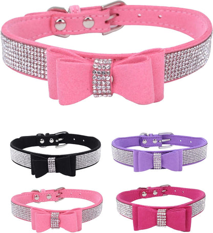 Young Dog Collar