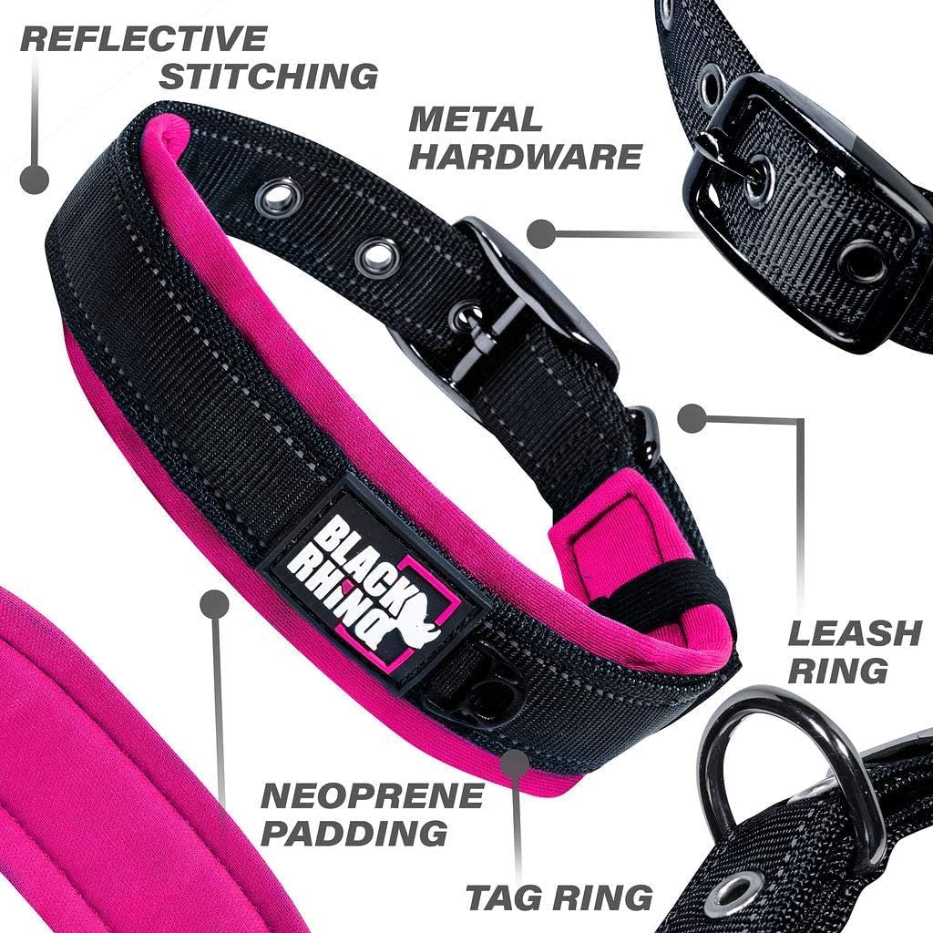 Medium Dogs  Collars 