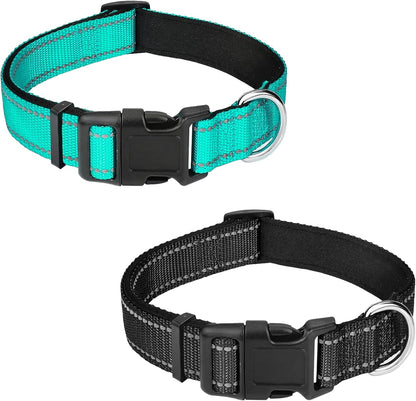 Dog Collar 