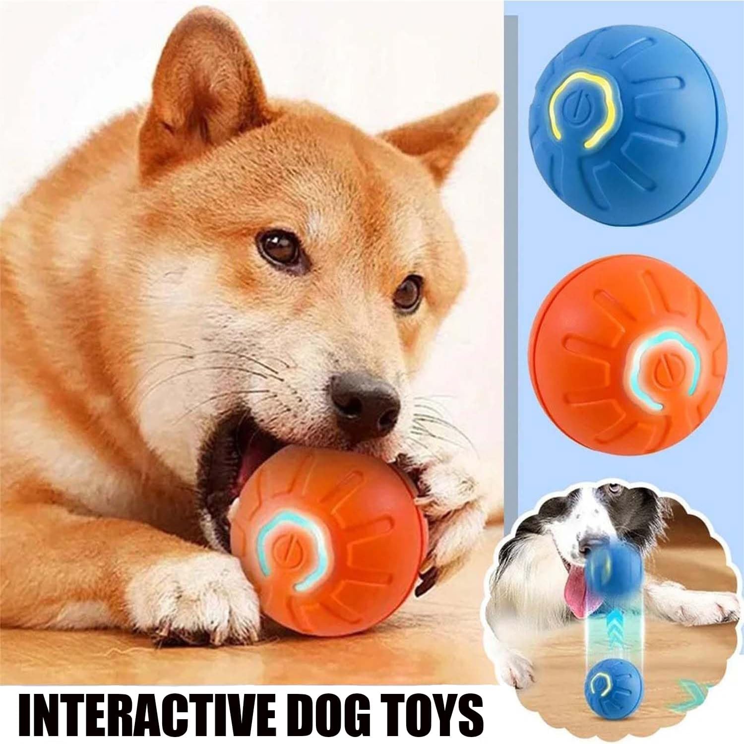 Shaking Dog Bal