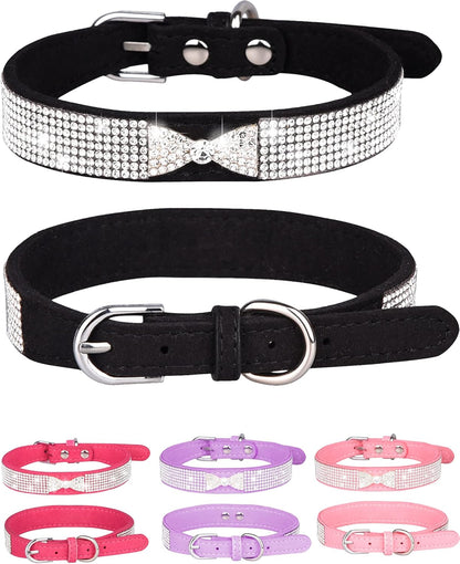 Young Dog Collar