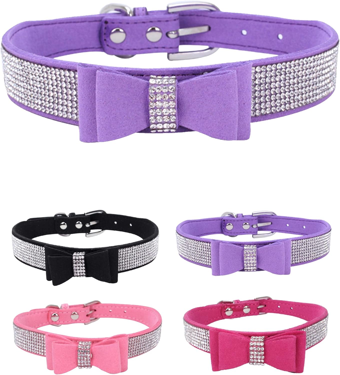 Young Dog Collar