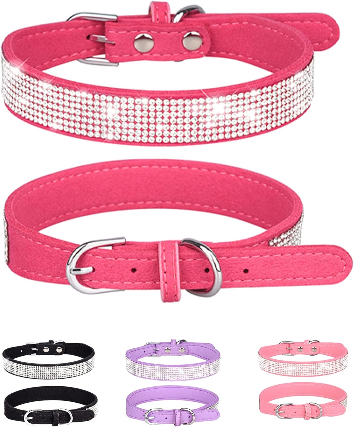 Young Dog Collar