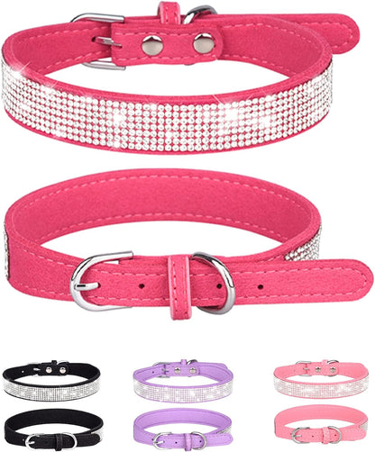 Young Dog Collar