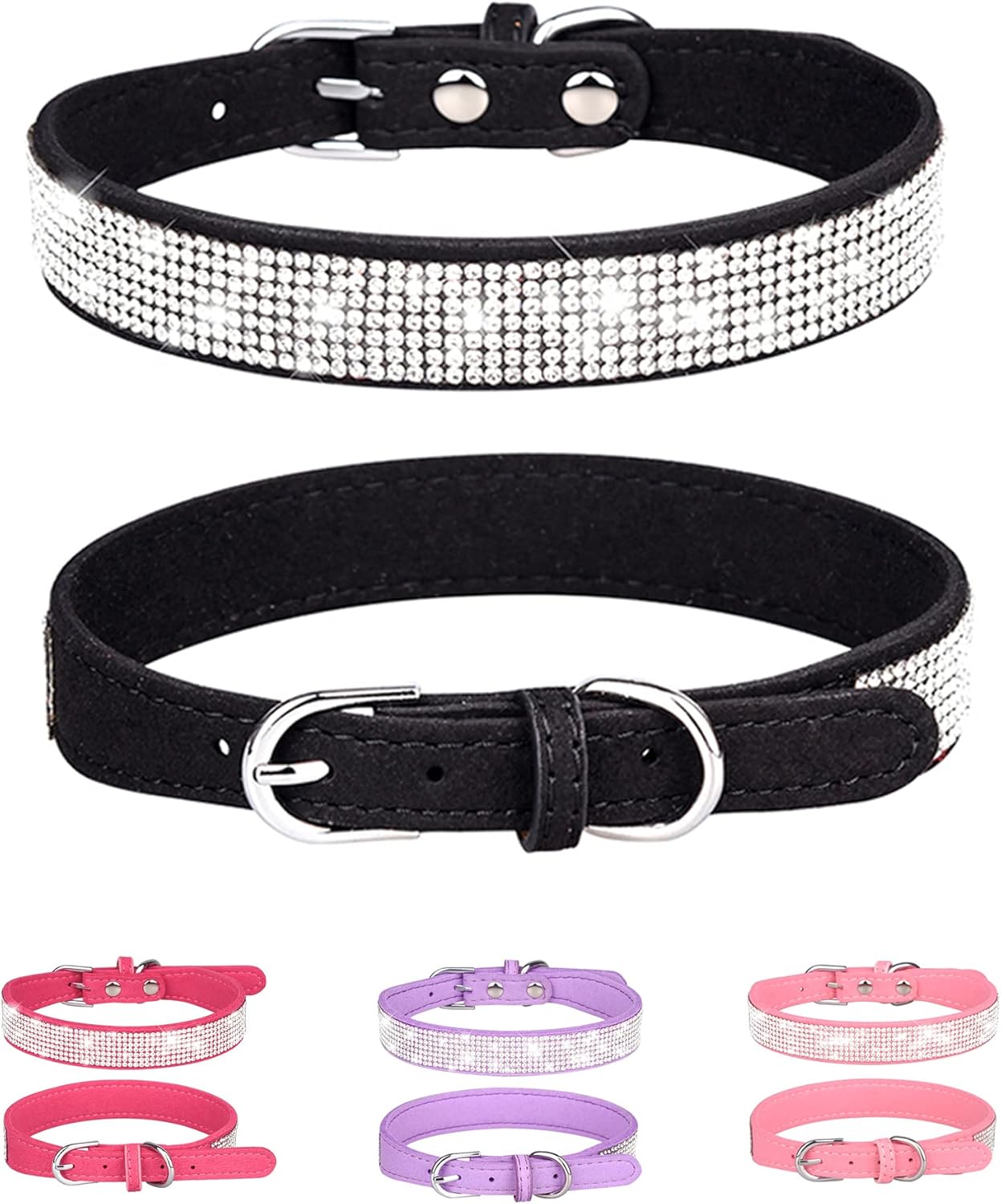 Young Dog Collar