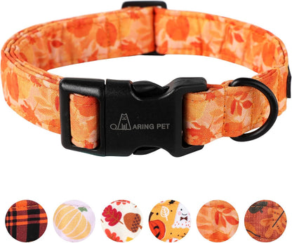Dog Collar