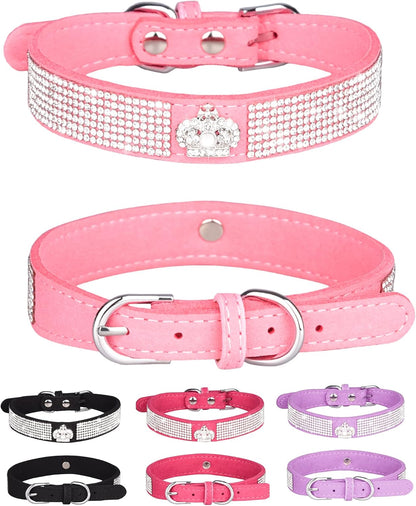 Young Dog Collar