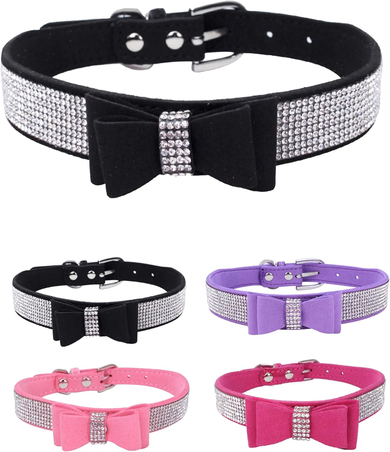 Young Dog Collar