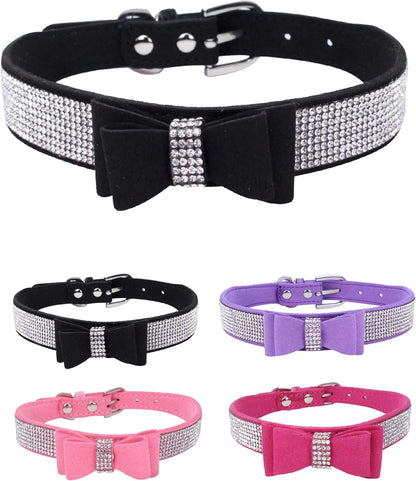 Young Dog Collar