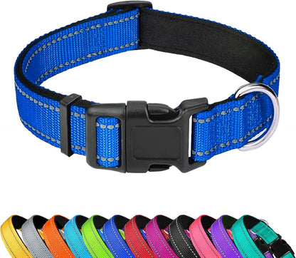 Dog Collar 