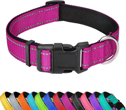 Dog Collar 