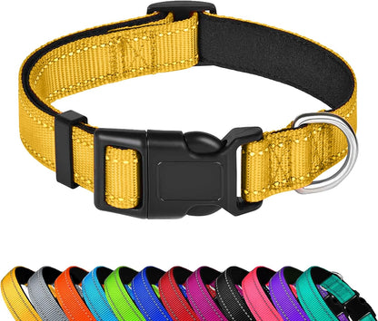 Dog Collar 