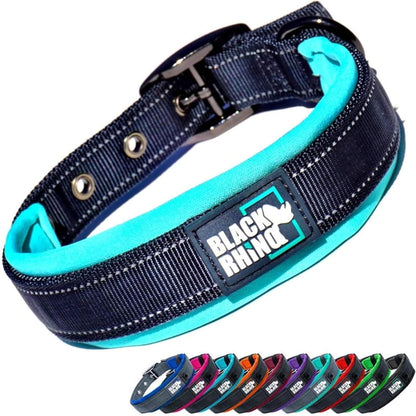 Medium Dogs  Collars 