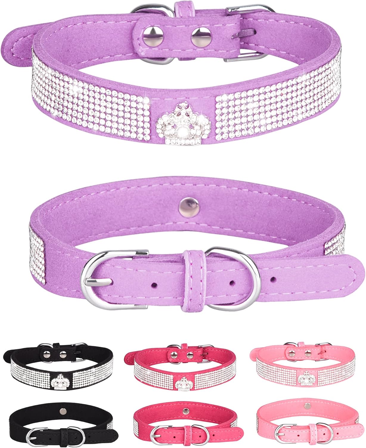 Young Dog Collar