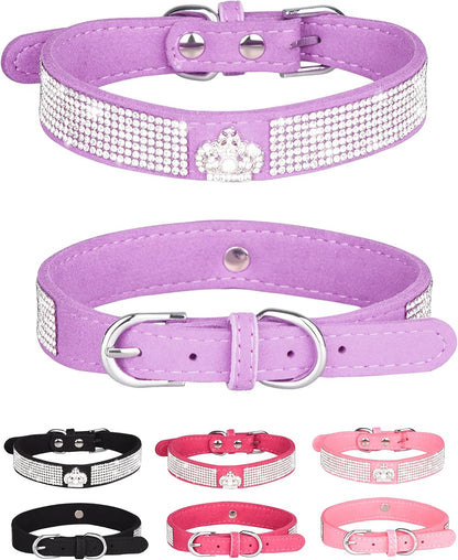 Young Dog Collar