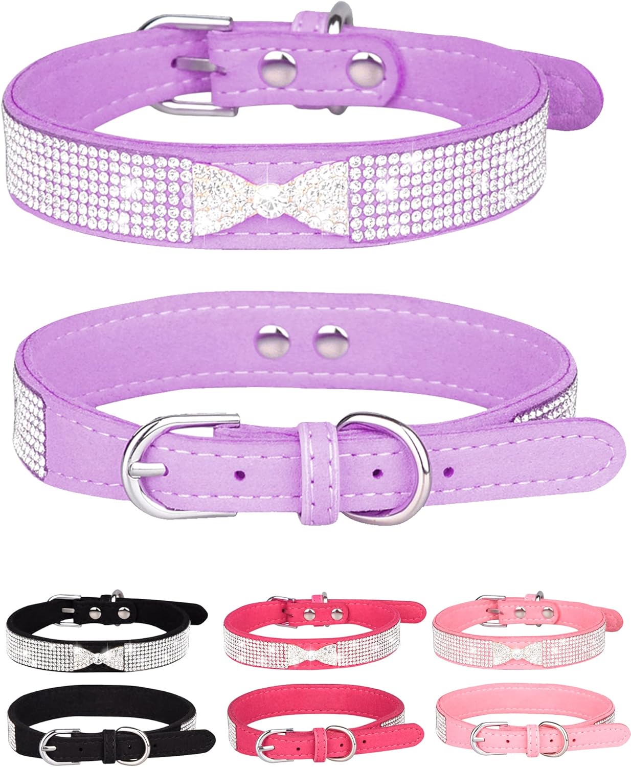 Young Dog Collar