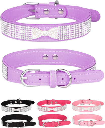 Young Dog Collar