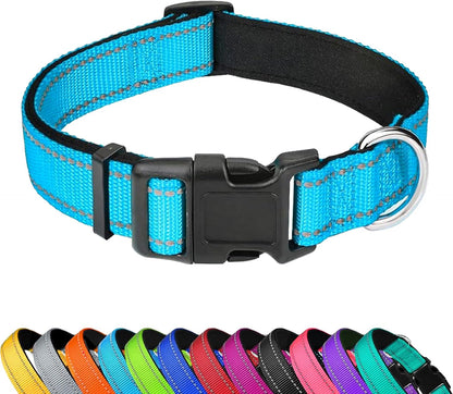 Dog Collar 