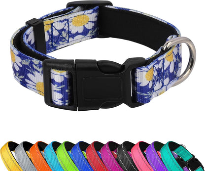 Dog Collar 