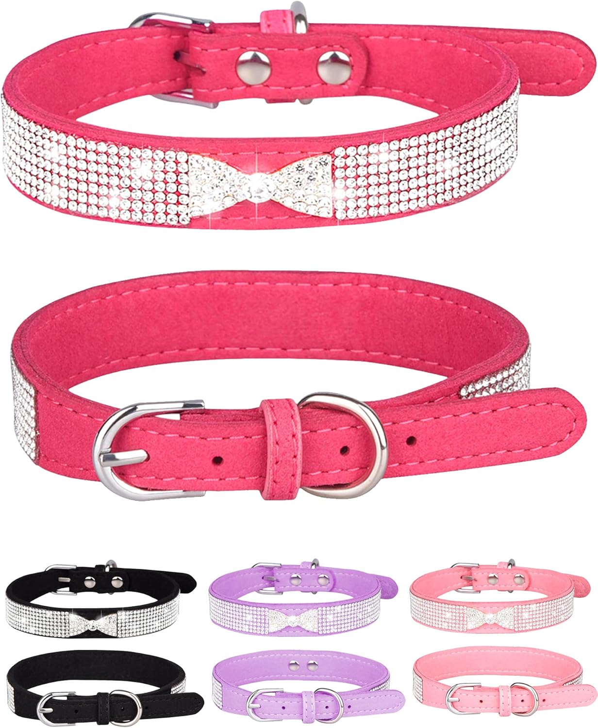 Young Dog Collar
