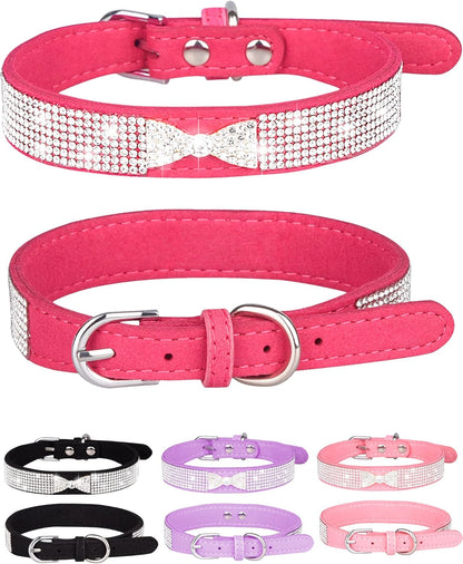 Young Dog Collar